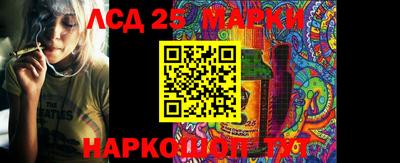 ГАЛЛЮЦИНОГЕННЫЕ ГРИБЫ Заволжье